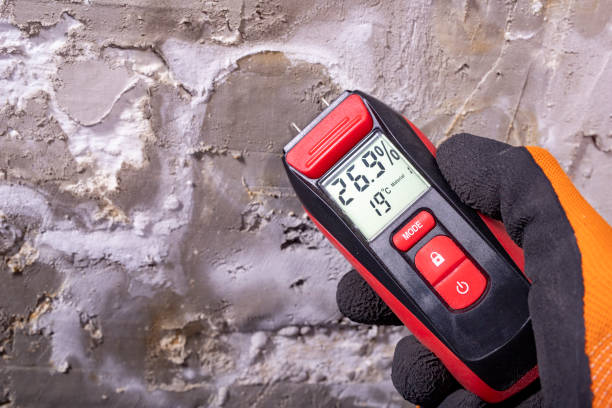 Best Office Mold Removal Services  in South Whitley, IN