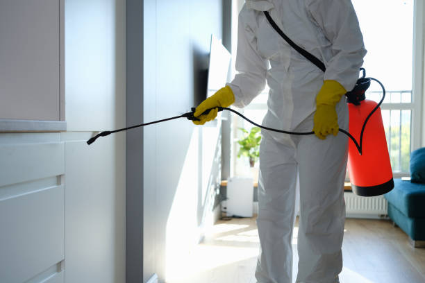 South Whitley, IN Mold Removal Company